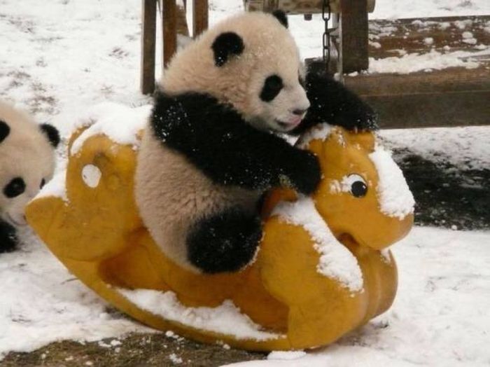 Acid Picdump (104 pics)