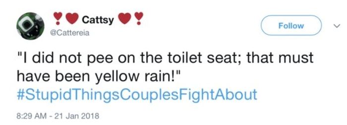 Stupid Things Couples Fight About (34 pics)