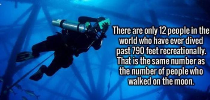 Interesting Facts And Stories (23 pics)