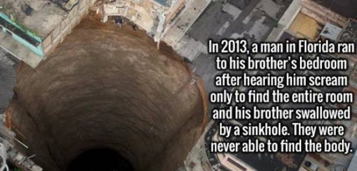 Interesting Facts And Stories (23 pics)