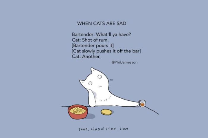 Illustrated Truths About Cats (15 pics)