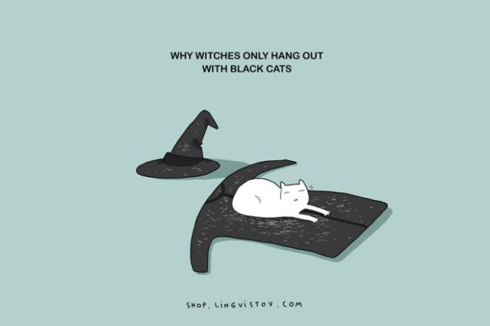 Illustrated Truths About Cats (15 pics)
