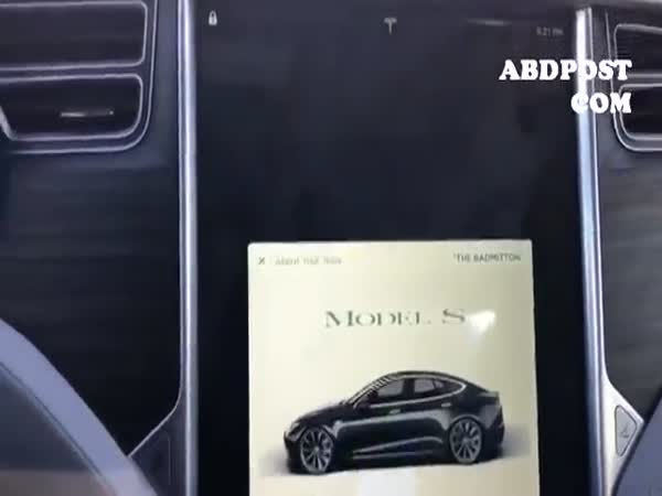 Tesla Autopilot Trick With Orange