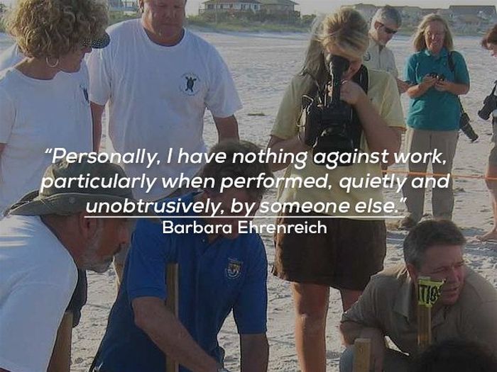 Quotes About Working (17 pics)