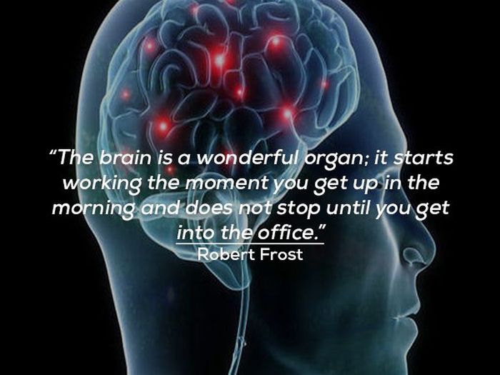 Quotes About Working (17 pics)