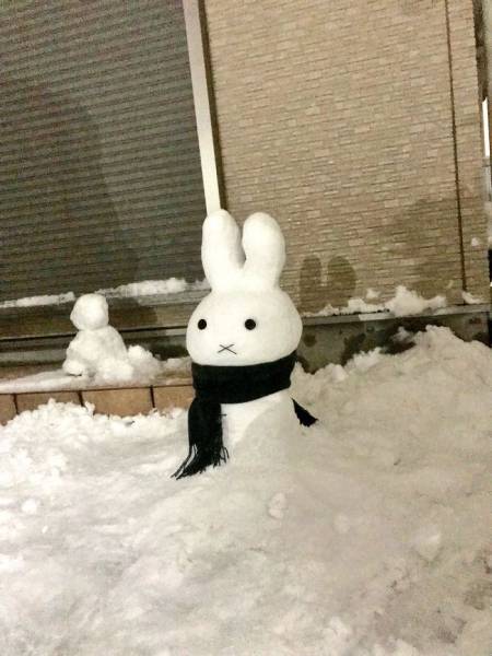 Snow Sculptures In Tokyo (40 pics)