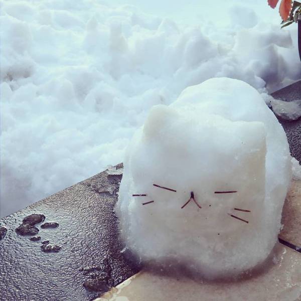 Snow Sculptures In Tokyo (40 pics)