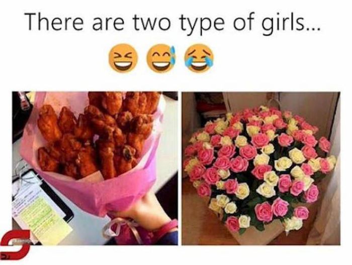 Only Two Kinds Of Girls Exist (30 pics)