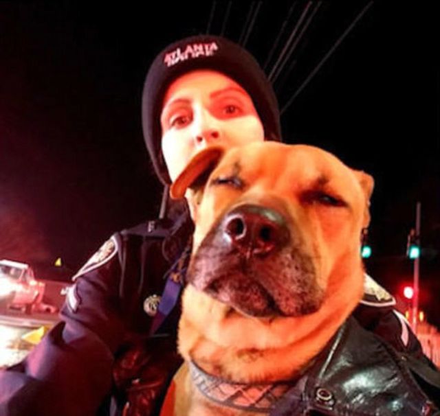 Bodycam Footage Shows Atlanta Police Rescuing Dog (4 pics)