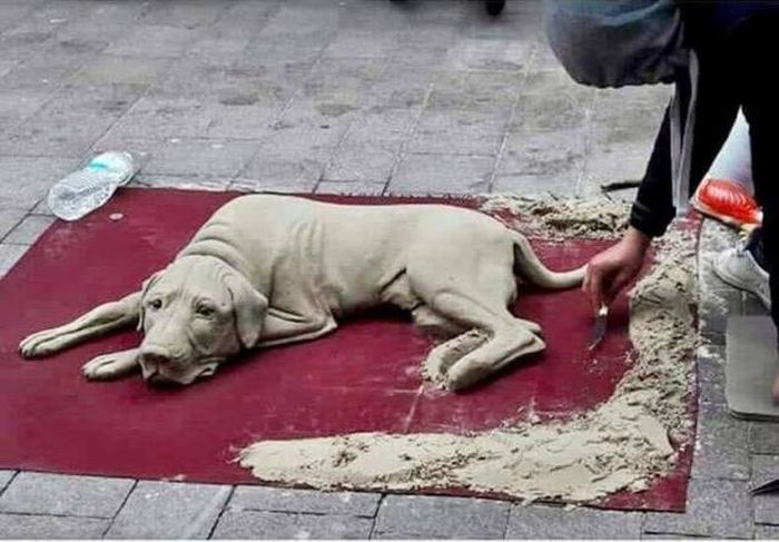 Acid Picdump (92 pics)
