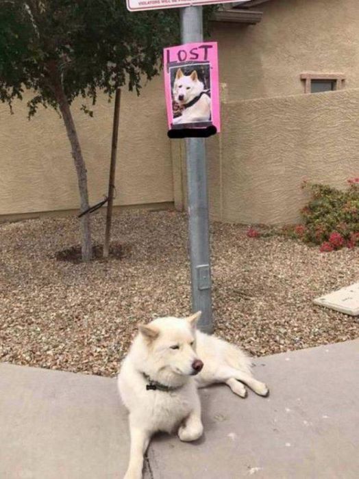 Acid Picdump (92 pics)