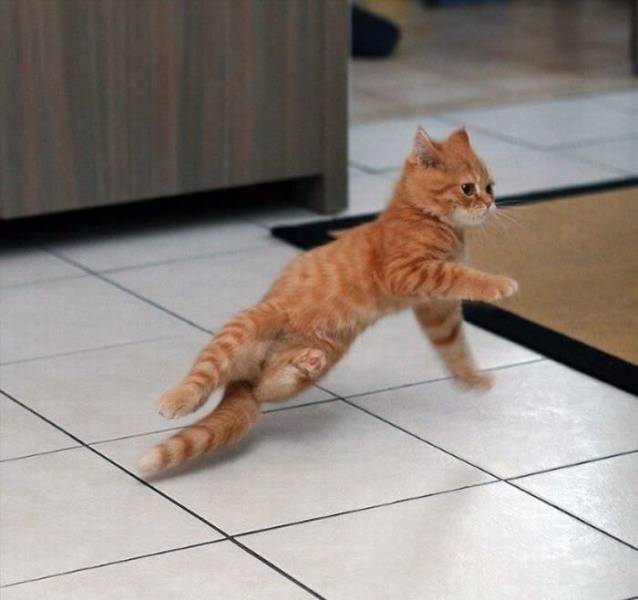 Acid Picdump (92 pics)