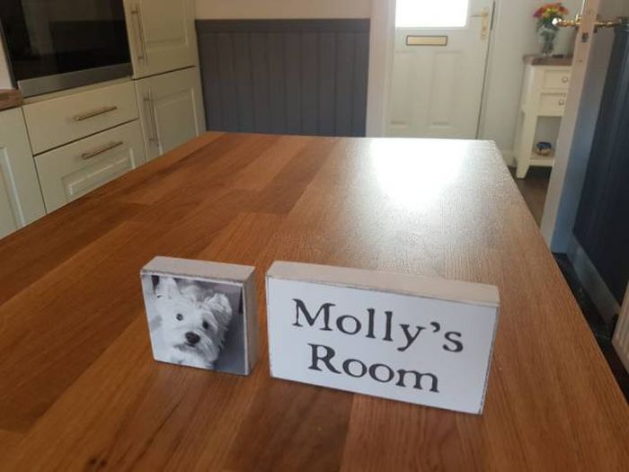 Dog Gets A New Room Just Because A Child Is Born In The Family (23 pics)