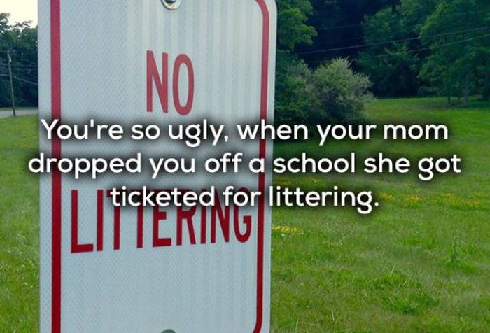Creative Insults (21 pics)