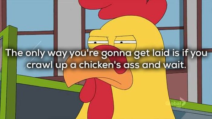 Creative Insults (21 pics)