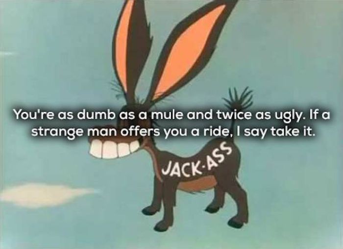 Creative Insults (21 pics)