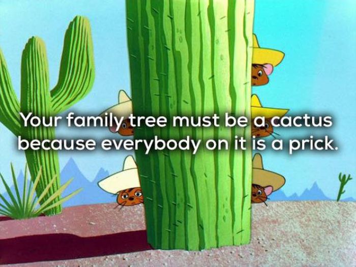 Creative Insults (21 pics)