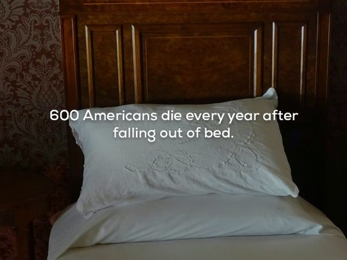 Scary Facts (21 pics)