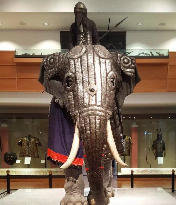 Elephant Body Armor (6 pics)