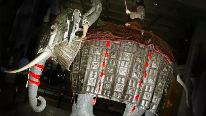 Elephant Body Armor (6 pics)