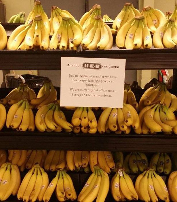 People Who Don't Care About Rules (41 pics)