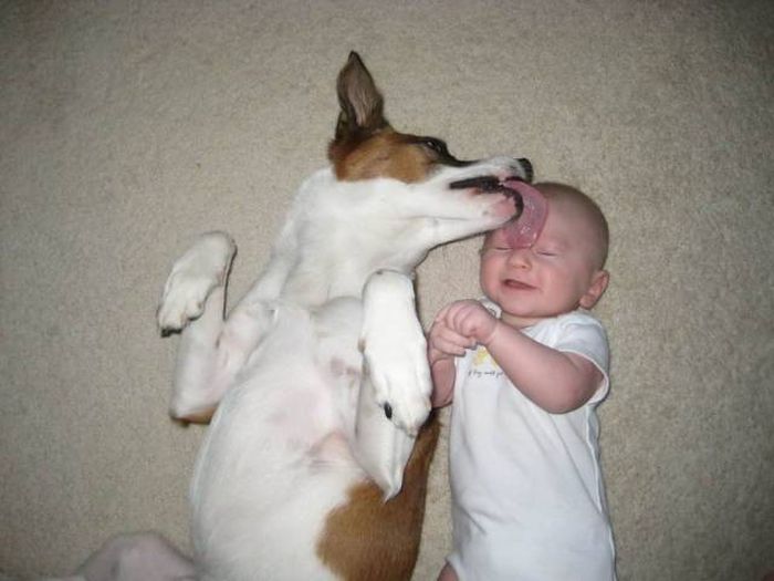 When A Picture Says More Than Just A Thousand Words (46 pics)