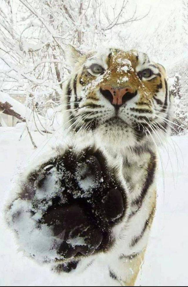 When A Picture Says More Than Just A Thousand Words (46 pics)