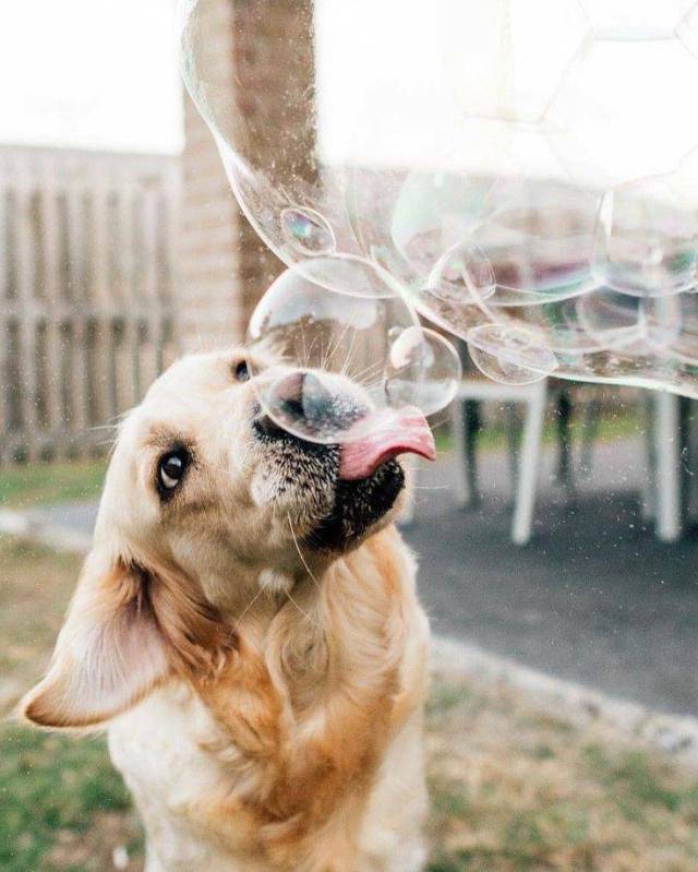 When A Picture Says More Than Just A Thousand Words (46 pics)
