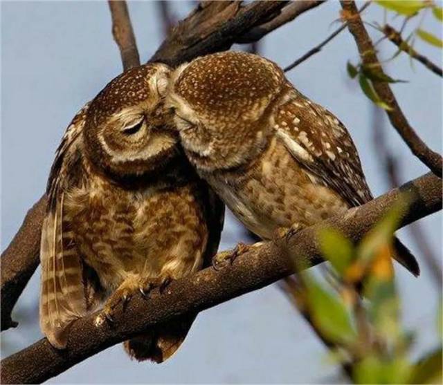 When A Picture Says More Than Just A Thousand Words (46 pics)