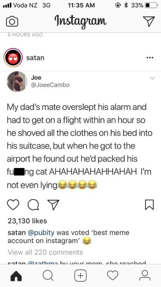 Looks Like Someone's Lying (20 pics)