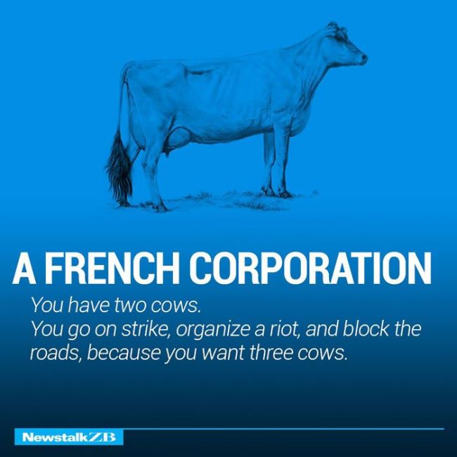 Cows Explain Economics (30 pics)