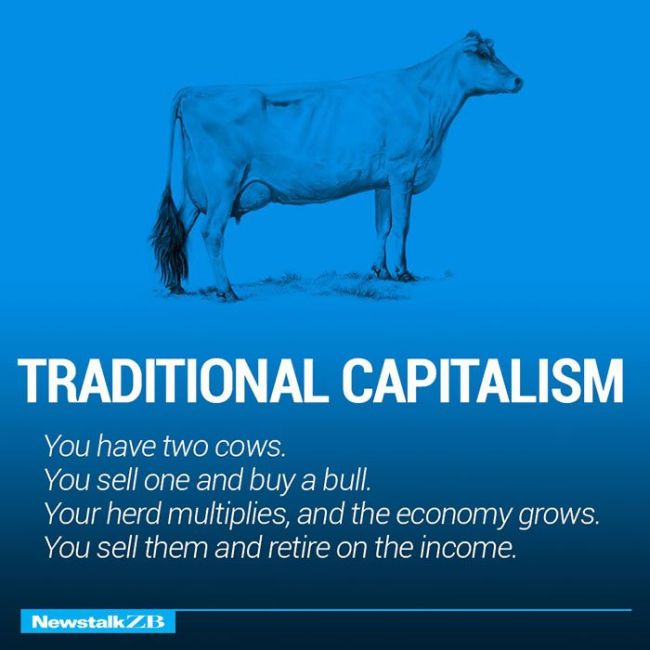 Cows Explain Economics (30 pics)
