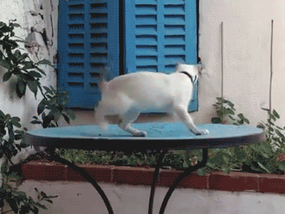 Acid Gifdump, January 30, 2018 (25 gifs)