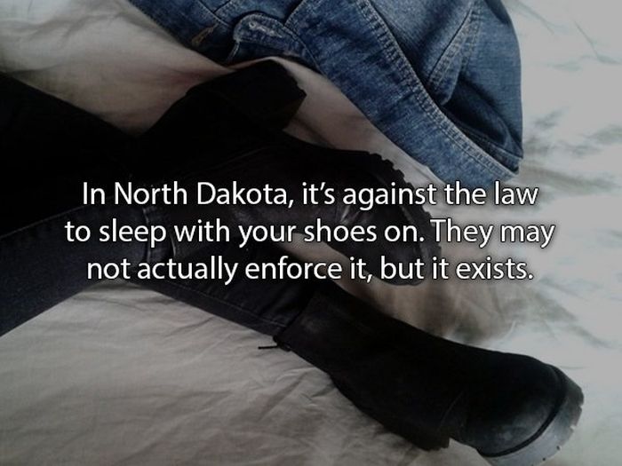 Laws That You Probably Didn't Know About (24 pics)