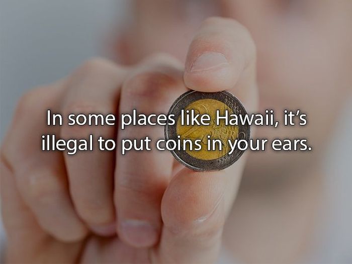 Laws That You Probably Didn't Know About (24 pics)