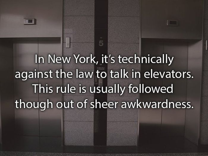 Laws That You Probably Didn't Know About (24 pics)
