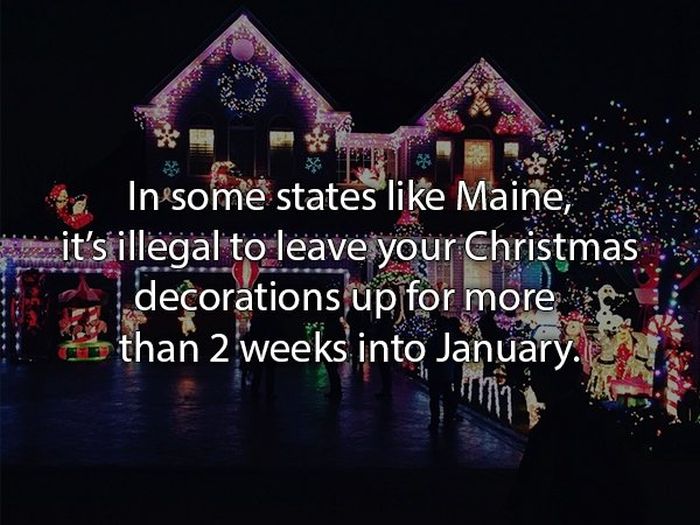 Laws That You Probably Didn't Know About (24 pics)