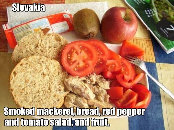 School Lunches Around The World (15 pics)