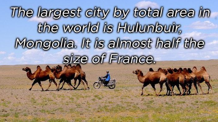 Unbelievable Facts (22 pics)