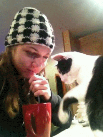 Acid Gifdump, January 31, 2018 (25 gifs)