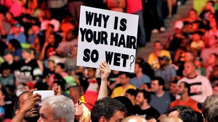 WWE Fan Posters (29 pics)