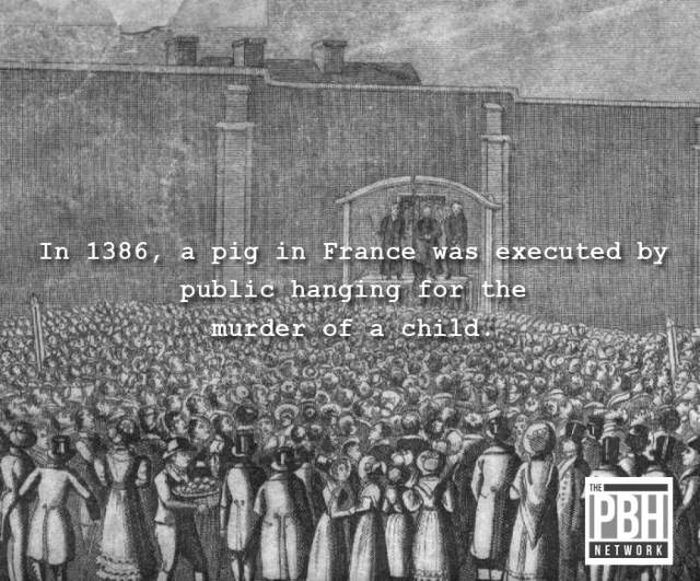 Interesting Facts (34 pics)