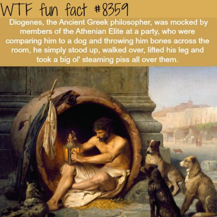 Interesting Facts (34 pics)