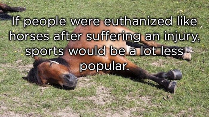 New Shower Thoughts (20 pics)