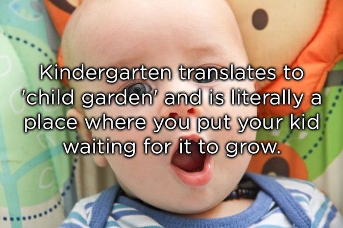 New Shower Thoughts (20 pics)