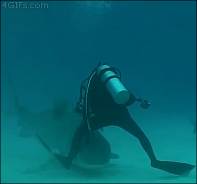 Oh sh*t (15 gifs)