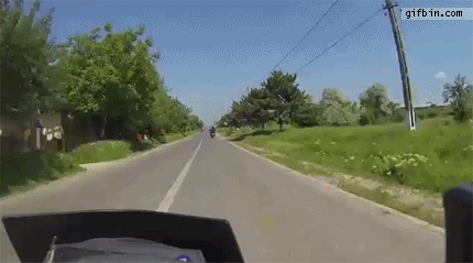 Oh sh*t (15 gifs)