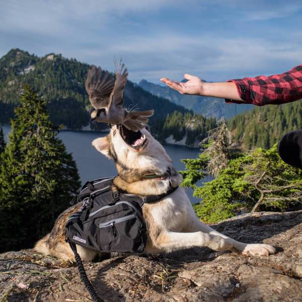 A Picture Says More Than Just A Thousand Words (49 pics)