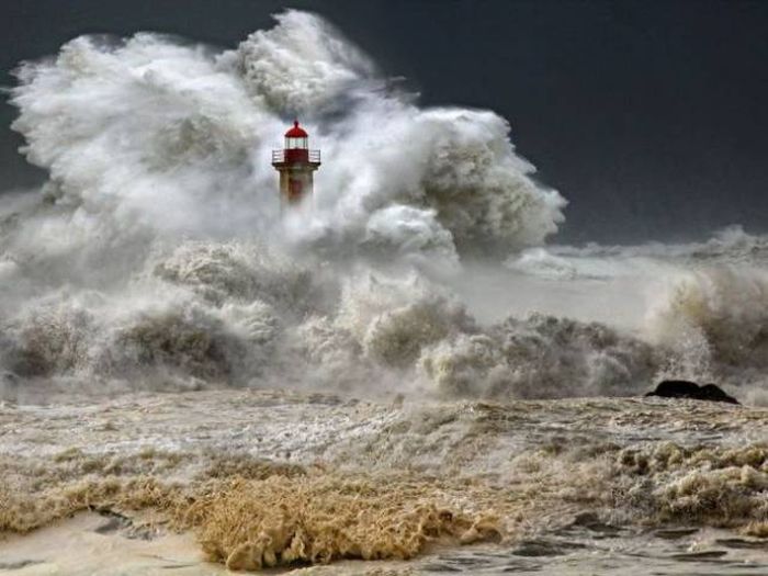 A Picture Says More Than Just A Thousand Words (49 pics)