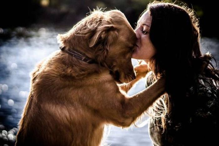 A Picture Says More Than Just A Thousand Words (49 pics)